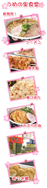 うめの里食堂